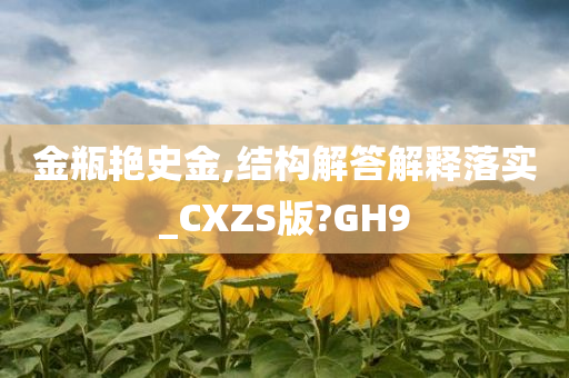 金瓶艳史金,结构解答解释落实_CXZS版?GH9