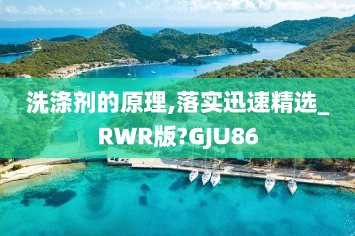 洗涤剂的原理,落实迅速精选_RWR版?GJU86