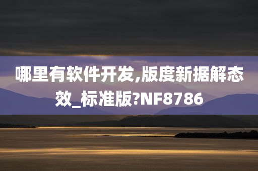 哪里有软件开发,版度新据解态效_标准版?NF8786