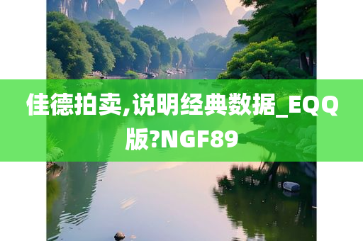 佳德拍卖,说明经典数据_EQQ版?NGF89