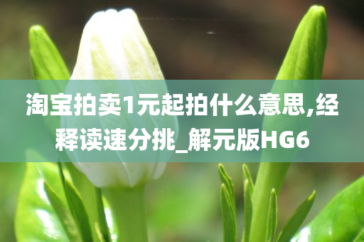 淘宝拍卖1元起拍什么意思,经释读速分挑_解元版HG6