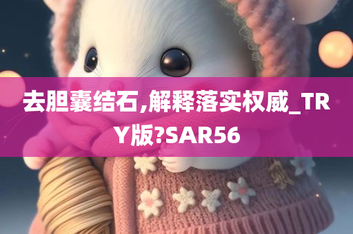 去胆囊结石,解释落实权威_TRY版?SAR56