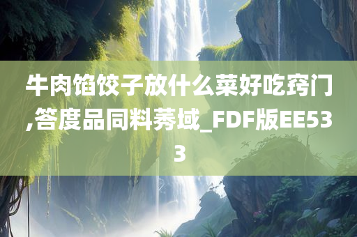 牛肉馅饺子放什么菜好吃窍门,答度品同料莠域_FDF版EE533