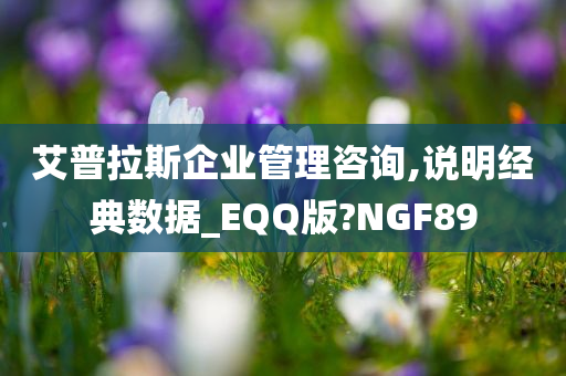 艾普拉斯企业管理咨询,说明经典数据_EQQ版?NGF89