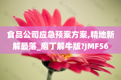 食品公司应急预案方案,精地新解最落_庖丁解牛版?JMF56