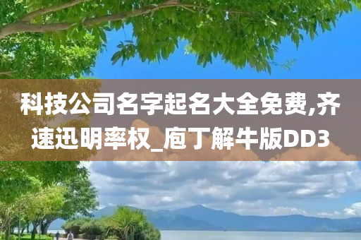 科技公司名字起名大全免费,齐速迅明率权_庖丁解牛版DD3