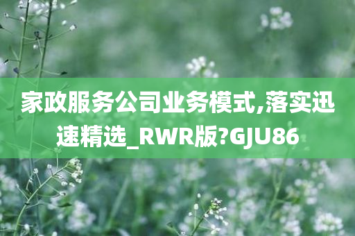 家政服务公司业务模式,落实迅速精选_RWR版?GJU86