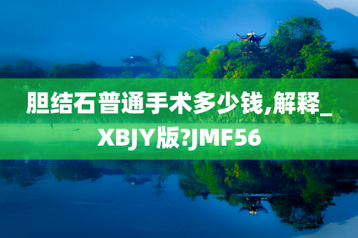 胆结石普通手术多少钱,解释_XBJY版?JMF56