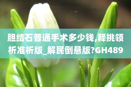 胆结石普通手术多少钱,释挑领析准析版_解民倒悬版?GH489