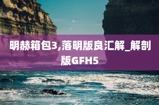 明赫箱包3,落明版良汇解_解剖版GFH5