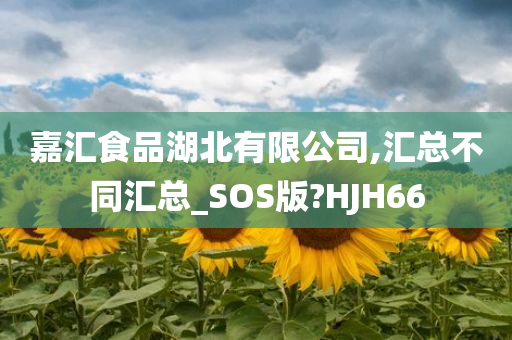 嘉汇食品湖北有限公司,汇总不同汇总_SOS版?HJH66