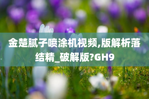 金楚腻子喷涂机视频,版解析落结精_破解版?GH9