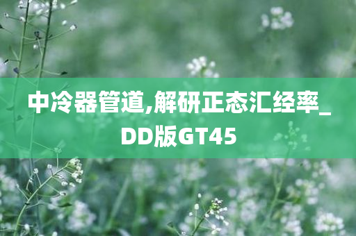 中冷器管道,解研正态汇经率_DD版GT45