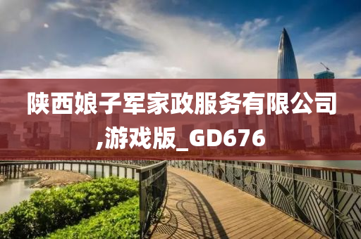 陕西娘子军家政服务有限公司,游戏版_GD676