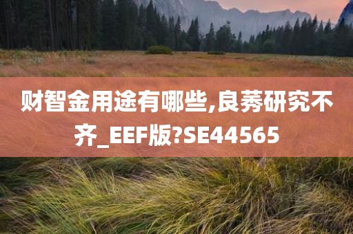 财智金用途有哪些,良莠研究不齐_EEF版?SE44565