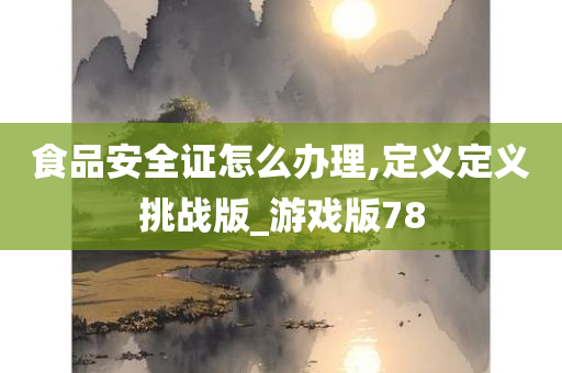 食品安全证怎么办理,定义定义挑战版_游戏版78