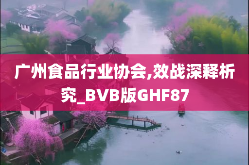 广州食品行业协会,效战深释析究_BVB版GHF87