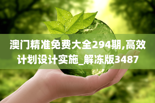 澳门精准免费大全294期,高效计划设计实施_解冻版3487