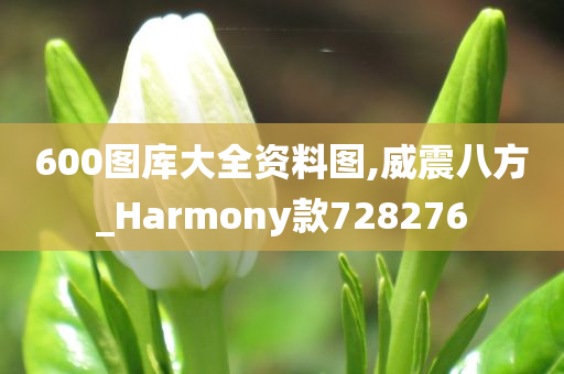 600图库大全资料图,威震八方_Harmony款728276