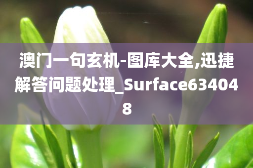 澳门一句玄机-图库大全,迅捷解答问题处理_Surface634048