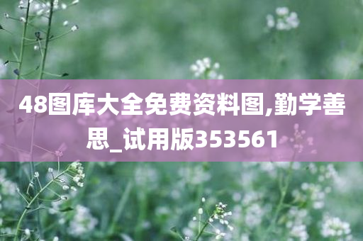 48图库大全免费资料图,勤学善思_试用版353561