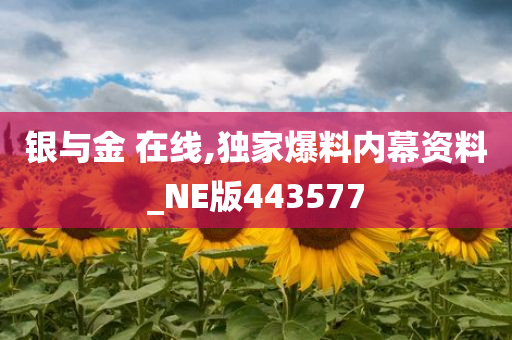 银与金 在线,独家爆料内幕资料_NE版443577