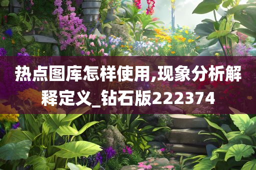 热点图库怎样使用,现象分析解释定义_钻石版222374