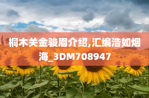 桐木关金骏眉介绍,汇编浩如烟海_3DM708947