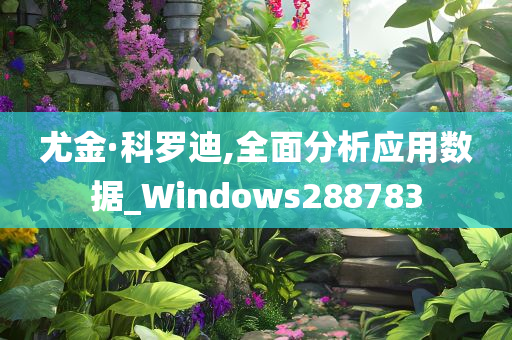 尤金·科罗迪,全面分析应用数据_Windows288783