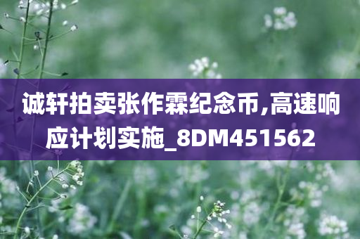 诚轩拍卖张作霖纪念币,高速响应计划实施_8DM451562