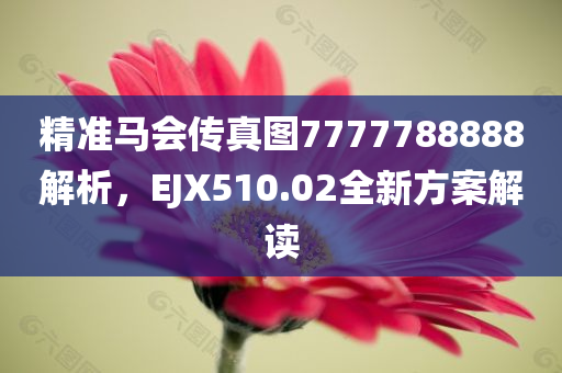 精准马会传真图7777788888解析，EJX510.02全新方案解读