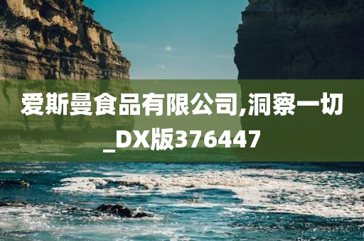 爱斯曼食品有限公司,洞察一切_DX版376447