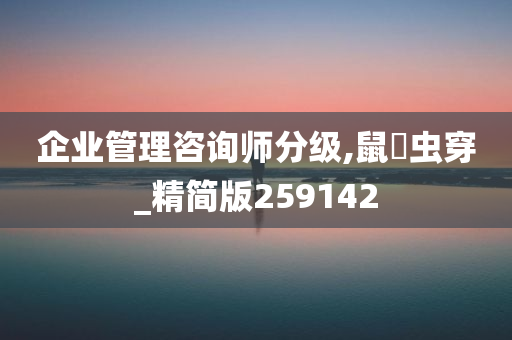 企业管理咨询师分级,鼠齧虫穿_精简版259142