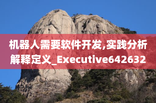 机器人需要软件开发,实践分析解释定义_Executive642632