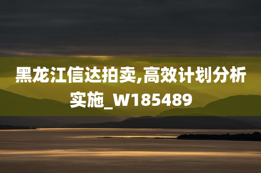 黑龙江信达拍卖,高效计划分析实施_W185489