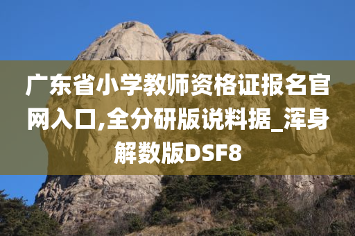 广东省小学教师资格证报名官网入口,全分研版说料据_浑身解数版DSF8