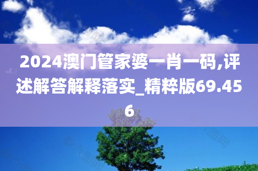 2024澳门管家婆一肖一码,评述解答解释落实_精粹版69.456