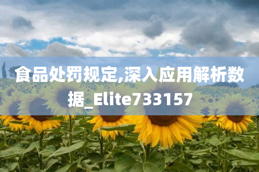 食品处罚规定,深入应用解析数据_Elite733157