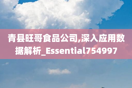 青县旺哥食品公司,深入应用数据解析_Essential754997