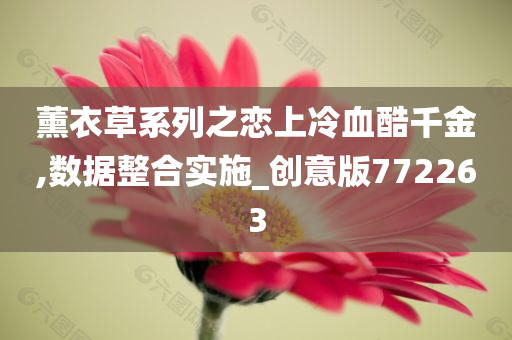 薰衣草系列之恋上冷血酷千金,数据整合实施_创意版772263