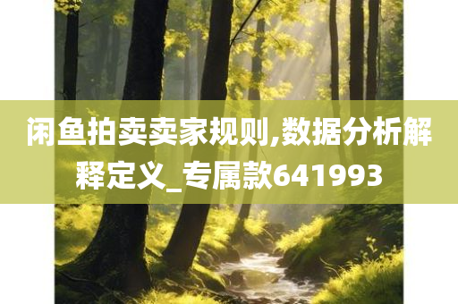 闲鱼拍卖卖家规则,数据分析解释定义_专属款641993