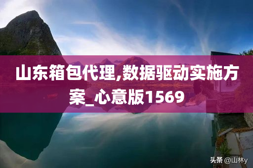 山东箱包代理,数据驱动实施方案_心意版1569