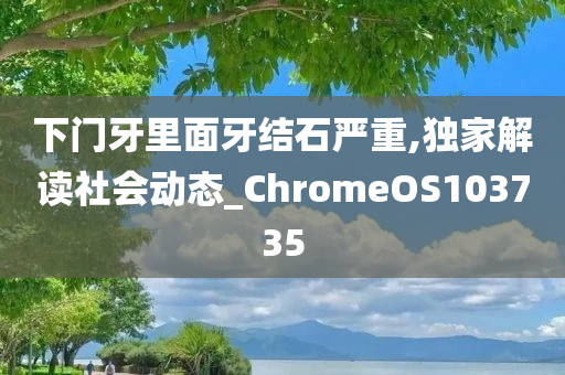 下门牙里面牙结石严重,独家解读社会动态_ChromeOS103735