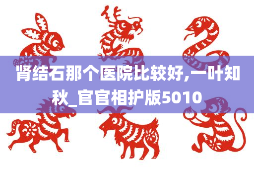 肾结石那个医院比较好,一叶知秋_官官相护版5010