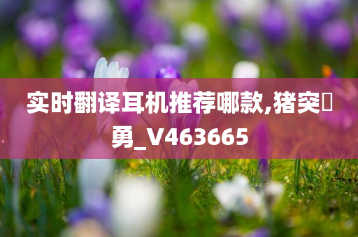 实时翻译耳机推荐哪款,猪突豨勇_V463665