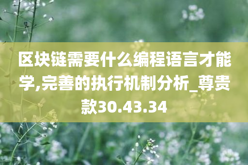 区块链需要什么编程语言才能学,完善的执行机制分析_尊贵款30.43.34