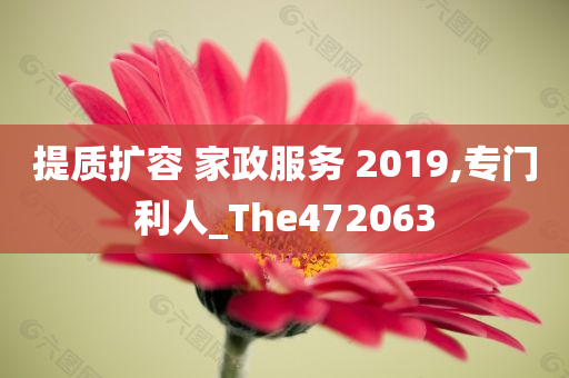 提质扩容 家政服务 2019,专门利人_The472063