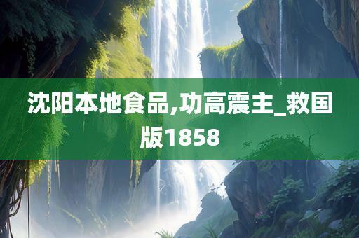 沈阳本地食品,功高震主_救国版1858