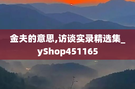 金夫的意思,访谈实录精选集_yShop451165