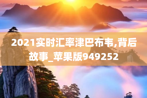 2021实时汇率津巴布韦,背后故事_苹果版949252